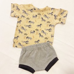 Conjunto ZEBRAS
