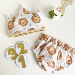 Conjunto cumpleaños LEONES