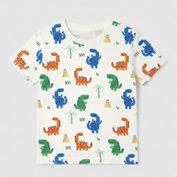 Camiseta DINOSAURIOS colores